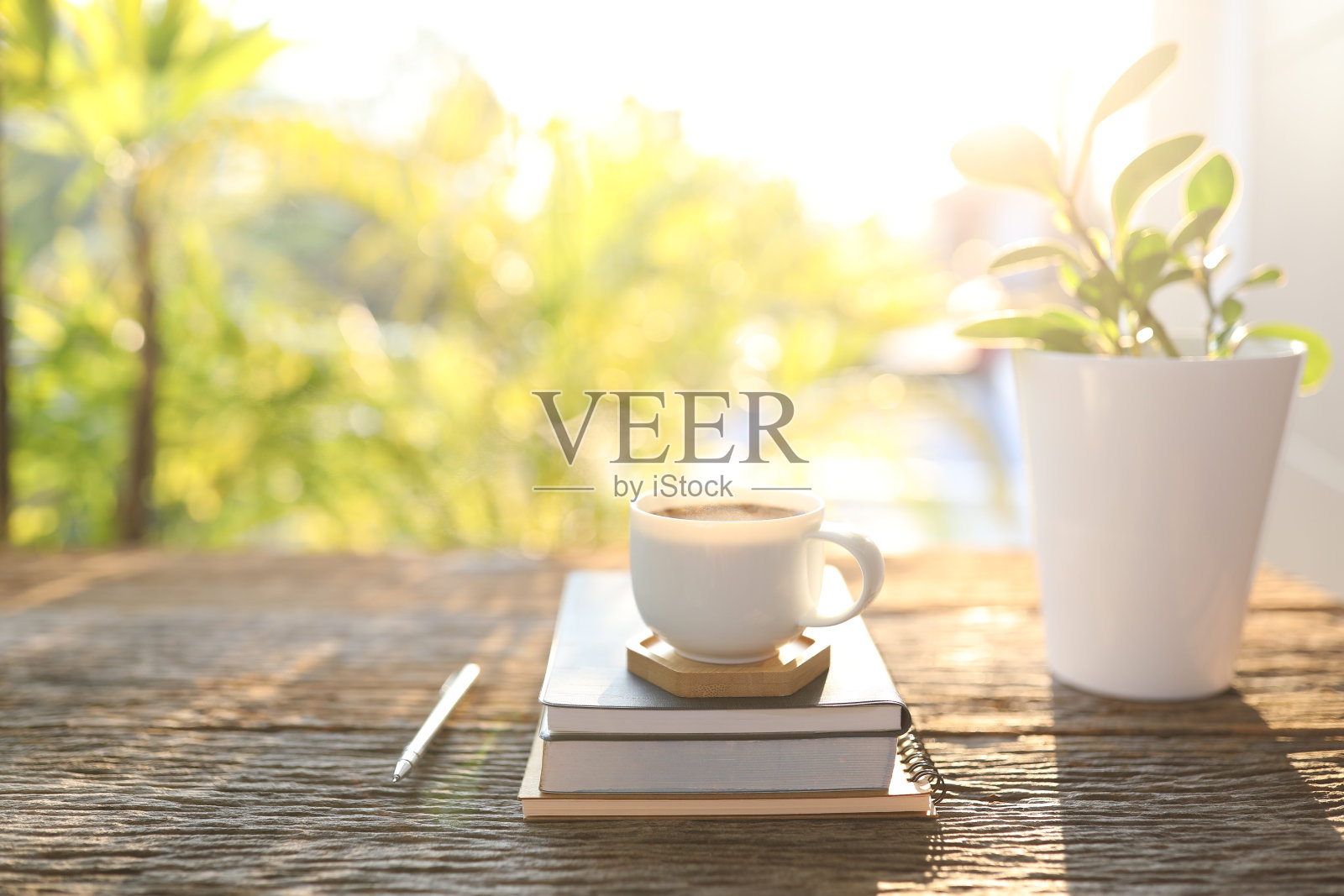 咖啡杯，笔记本和婴儿橡胶植物在风化的木桌上照片摄影图片