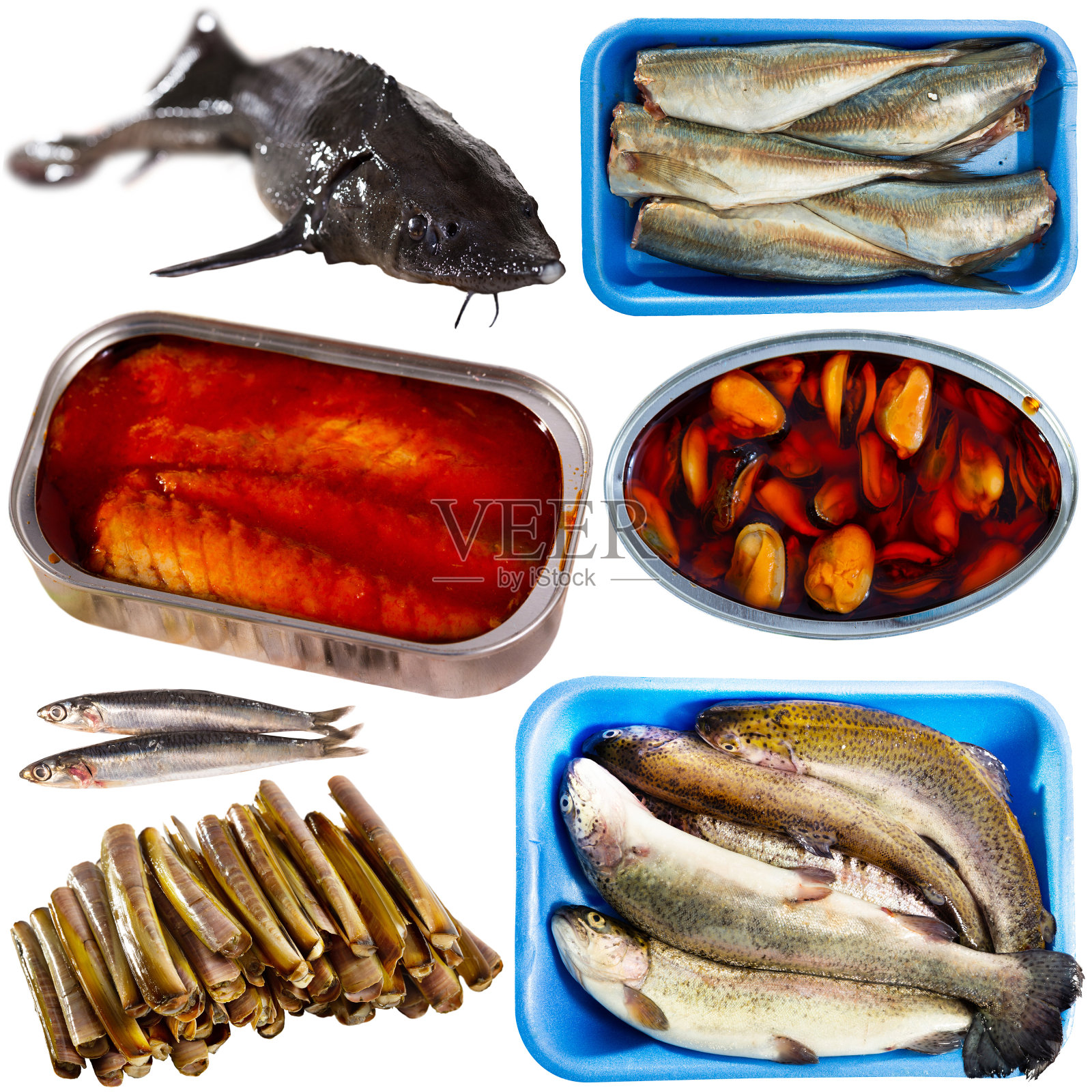 收集生鱼及半成品海鲜照片摄影图片