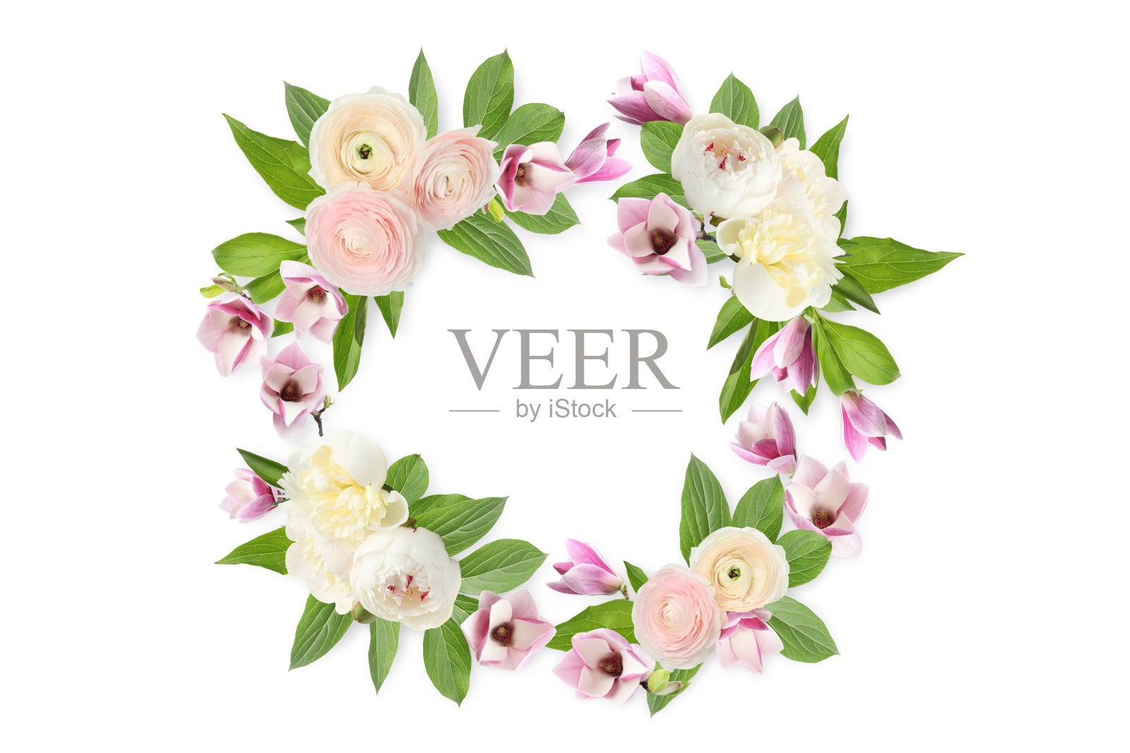 花环由美丽的花朵在白色的背景照片摄影图片