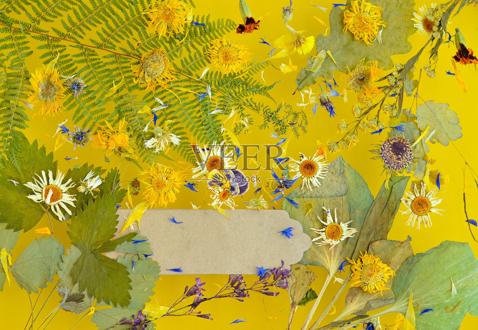 黄色背景上摆着芭蕉和鲜花，悬浮在空中。传统医学的概念，植物疗法，草药，用于配制输液，煎药，酊剂，药粉，药膏，茶。环保。平的。插画图片素材