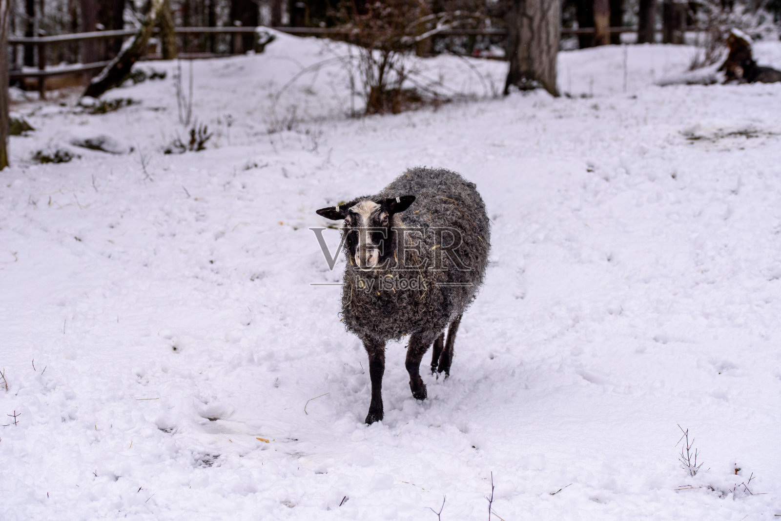冬天在斯德哥尔摩，纳卡雷赛特，瑞典照片摄影图片
