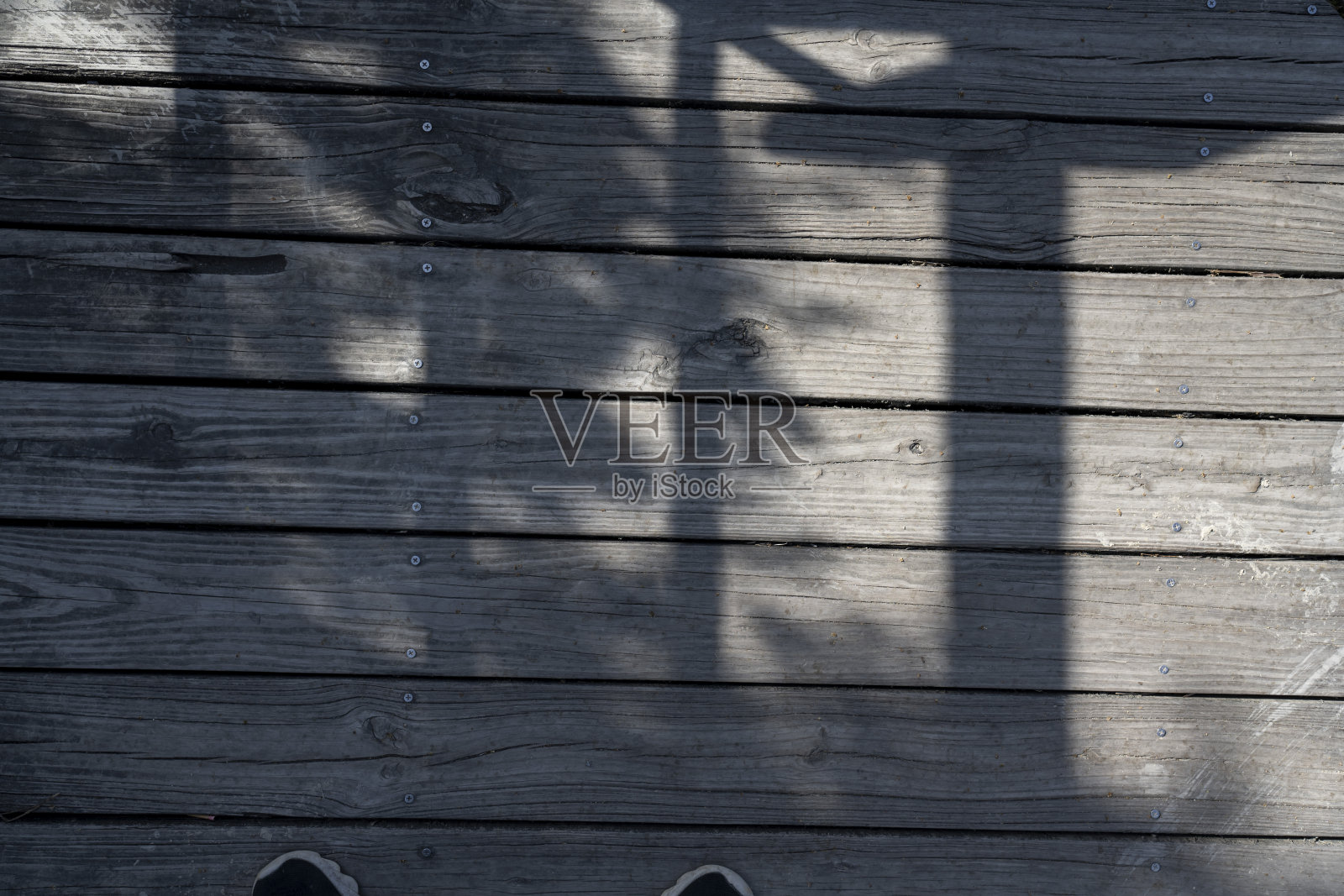 公园路面的木材纹理照片摄影图片