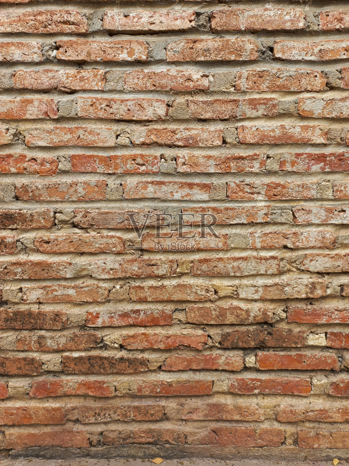 数组照片摄影图片