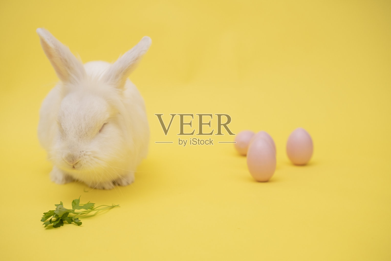 白色可爱的复活节兔子在黄色的背景上。兔子坐在粉红色的复活节彩蛋上照片摄影图片