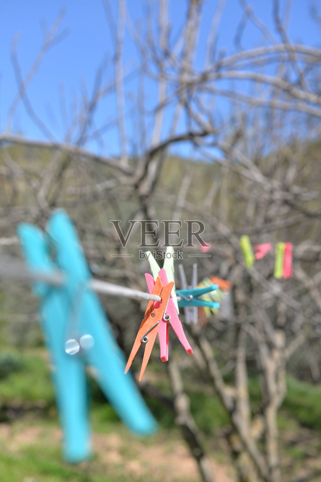 国家的场景照片摄影图片