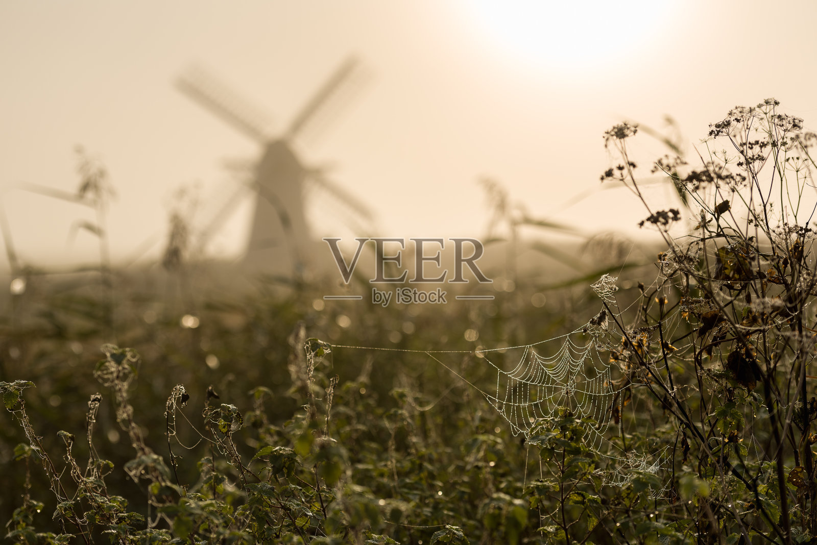 雾蒙蒙的日出，鲱鱼舰队磨坊六照片摄影图片