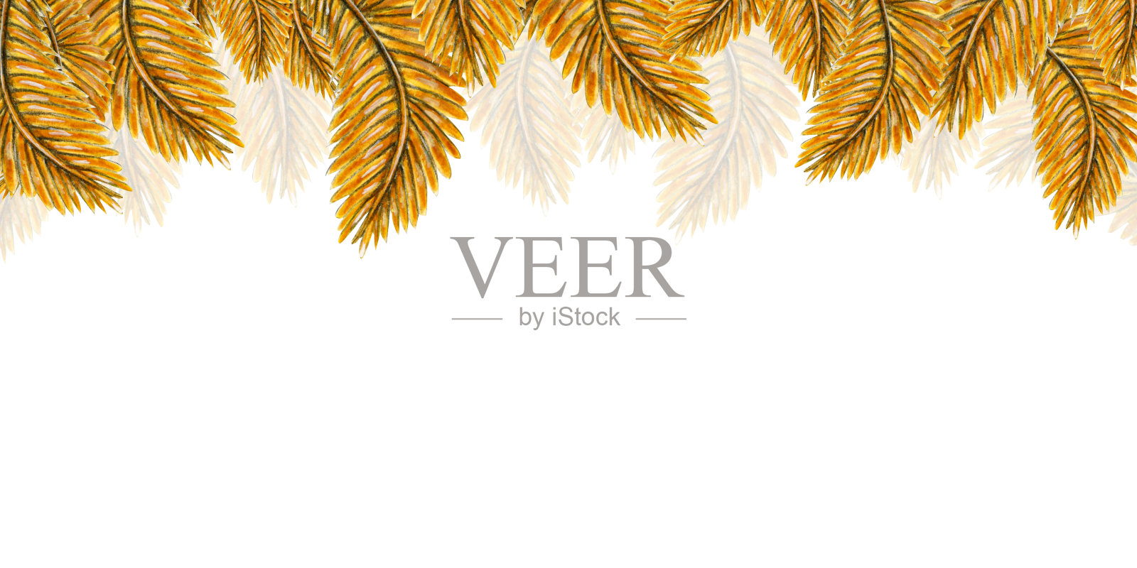 水彩模板与金色羽毛在白色背景为您的夏季设计和邀请插画图片素材