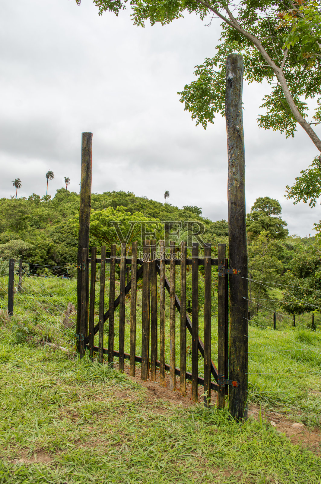 农场的大门。很多云的天空。树木和山脉。照片摄影图片