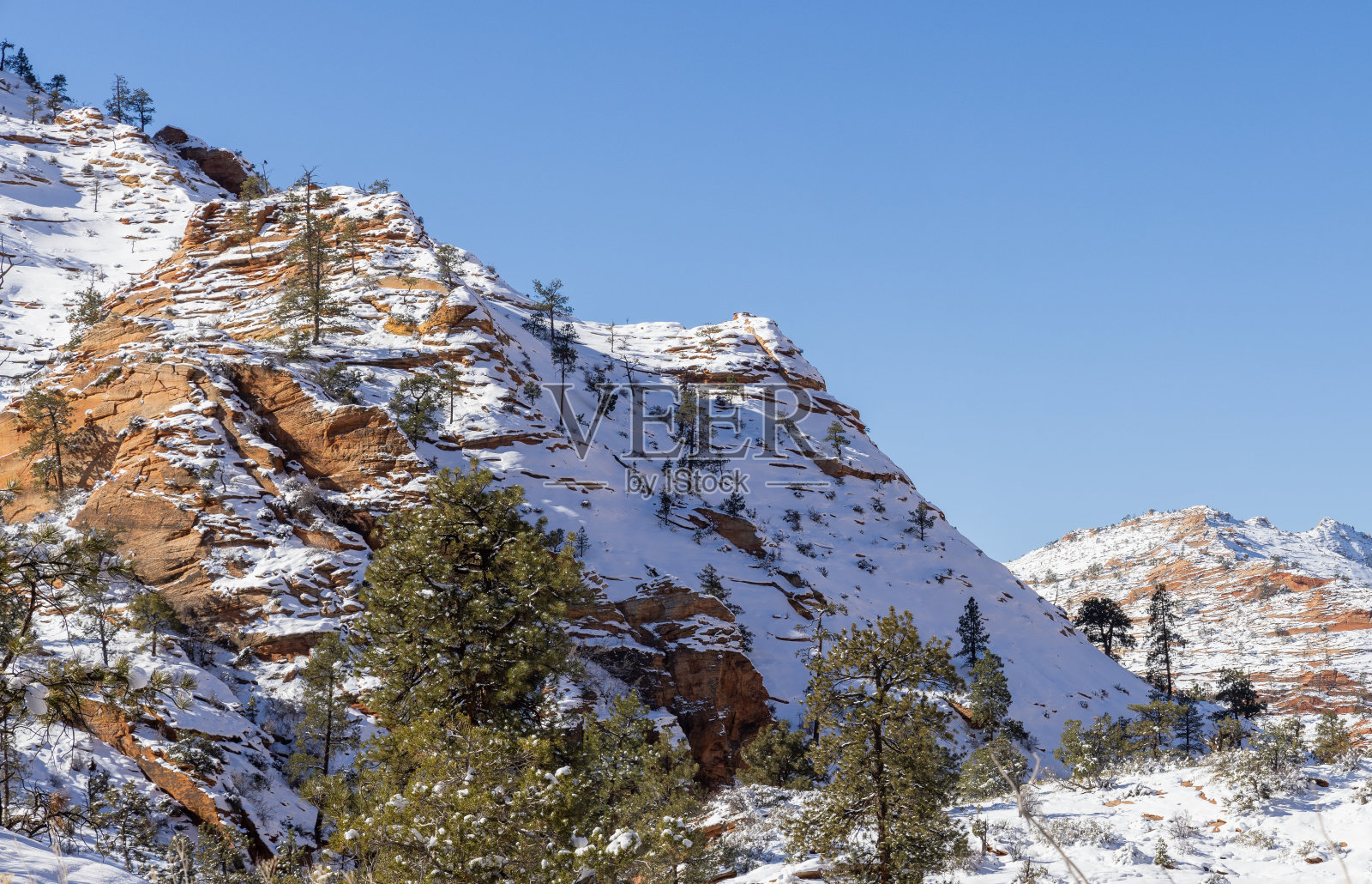 冬天犹他州锡安国家公园被大雪覆盖照片摄影图片