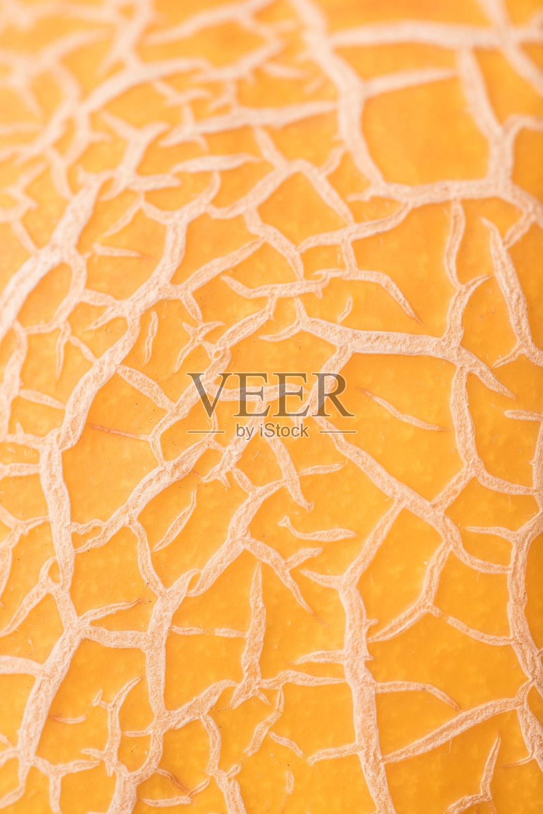 瓜皮的特写镜头照片摄影图片