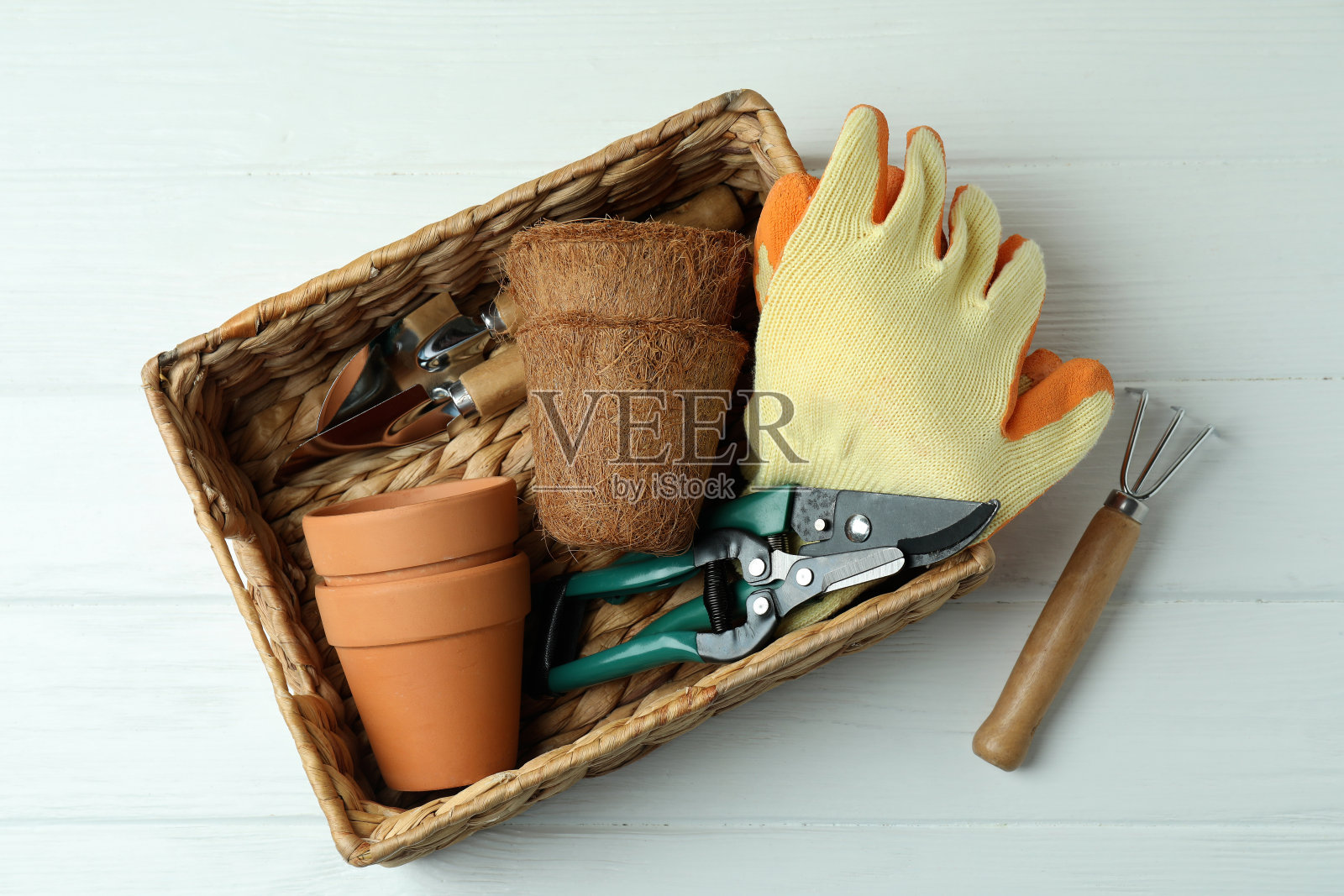 在白色木制背景上园艺的概念照片摄影图片