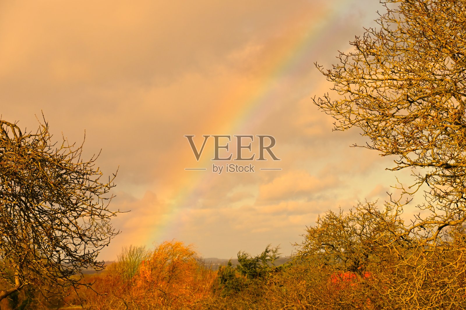 春天午后的彩虹穿过云层照片摄影图片