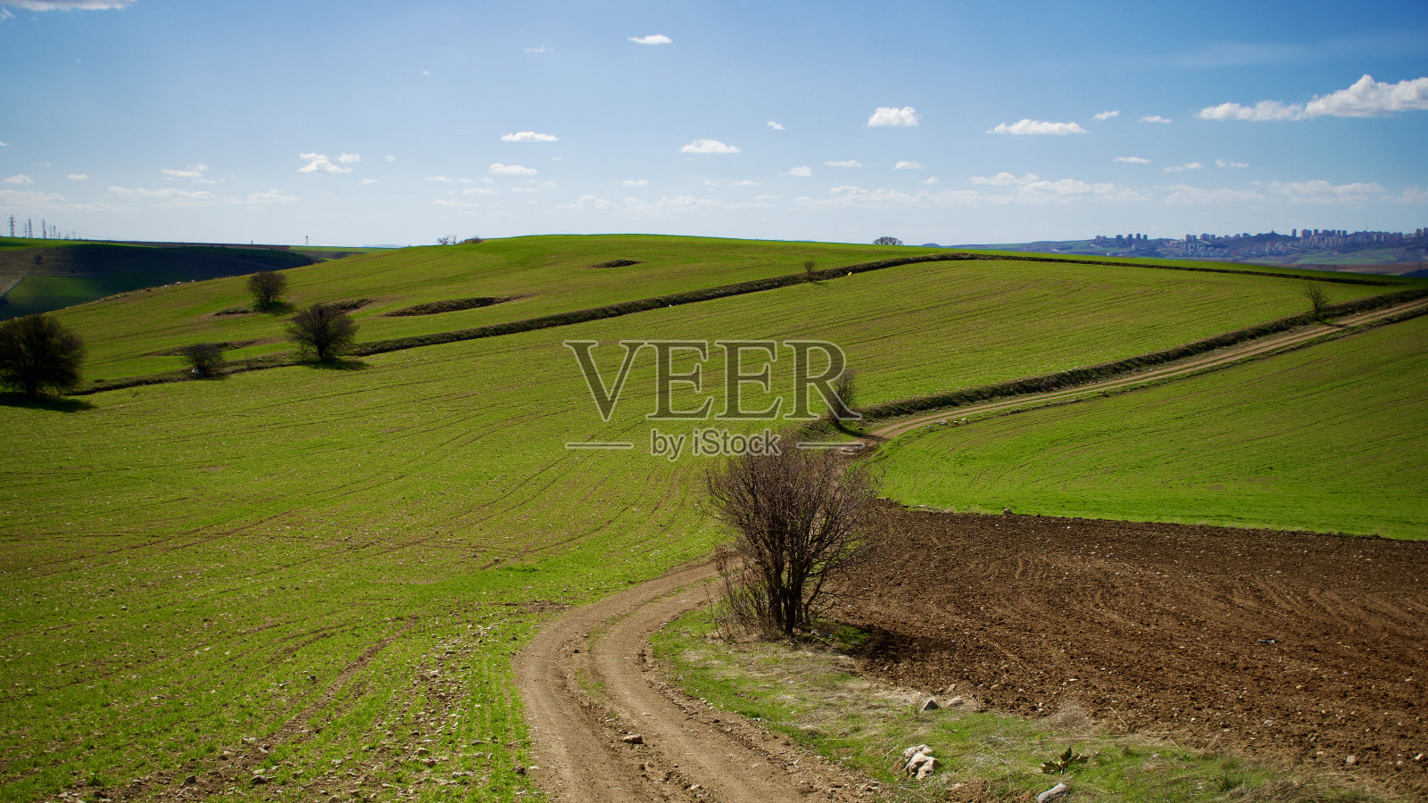 多云的蓝天和春天的绿意。庄稼从地里长出来了。绿油油的田野前是乡村的田园风光。照片摄影图片