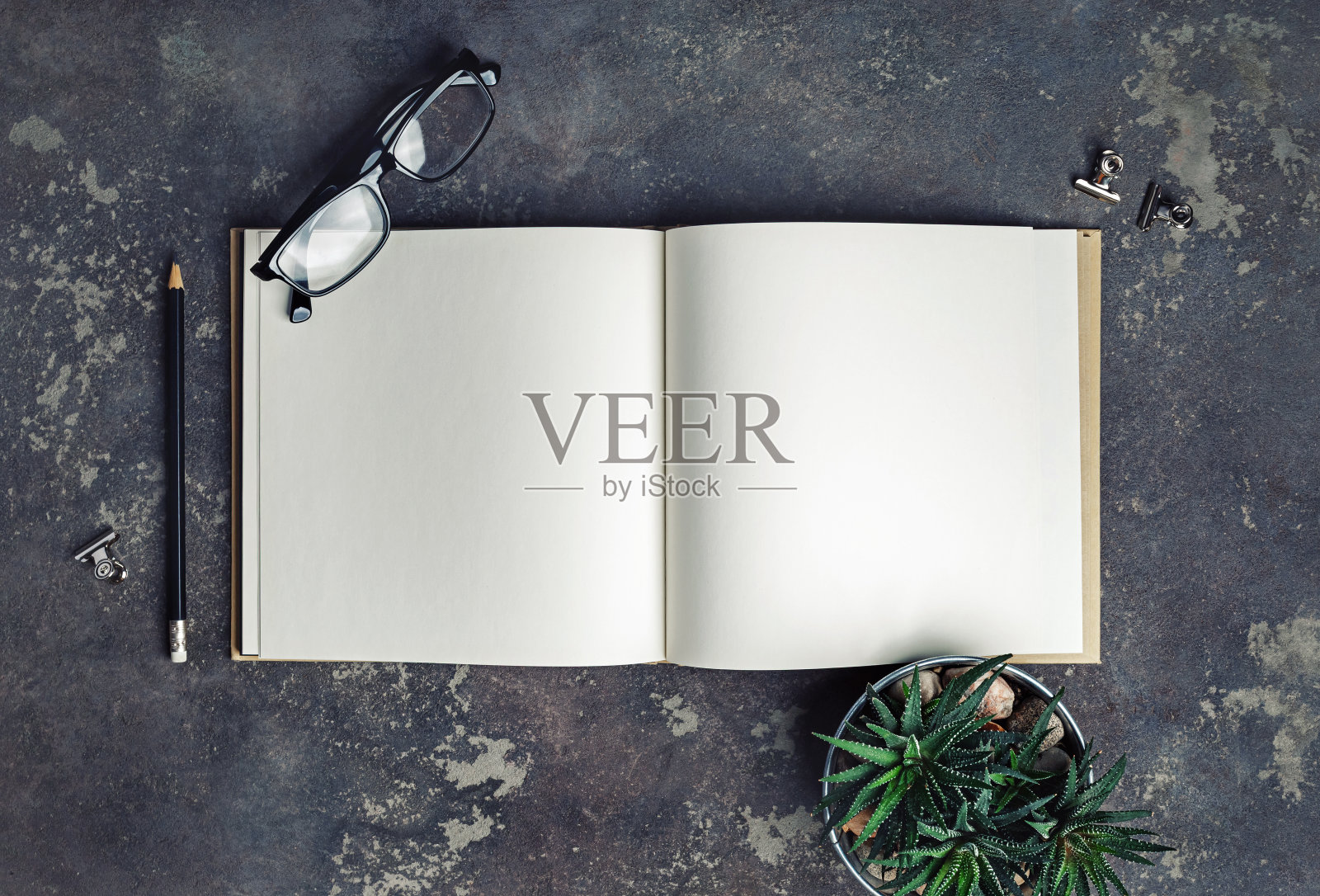 小册子，植物，铅笔，眼镜照片摄影图片