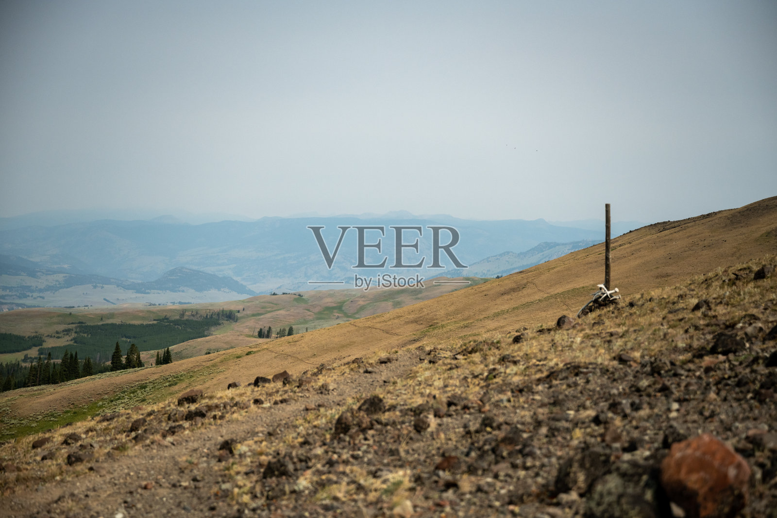 沿着标本山脊的单独的步道标记，在远山一侧有真正的步道和两条动物步道照片摄影图片