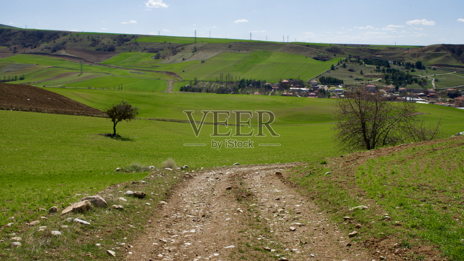 多云的蓝天和春天的绿意。庄稼从地里长出来了。绿油油的田野前是乡村的田园风光。照片摄影图片