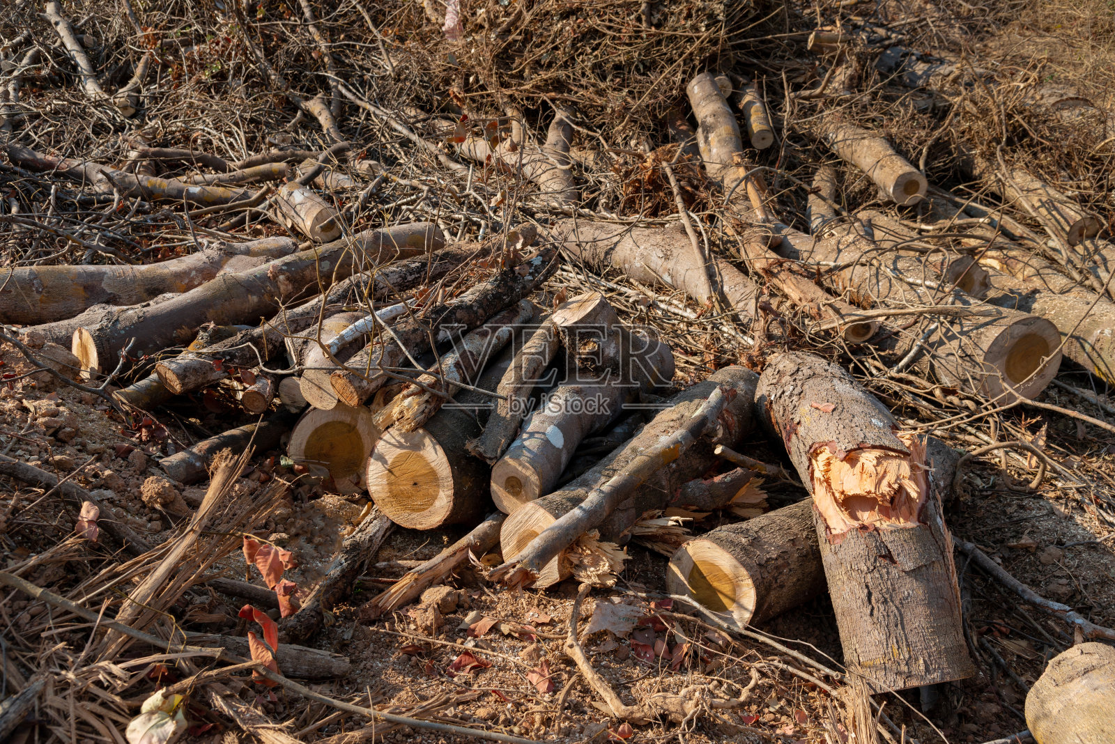 一堆堆起来的柴火，准备为房子取暖用的柴火，冬天收获的柴火，在一堆上劈开的柴火，堆起来准备过冬用的柴火照片摄影图片