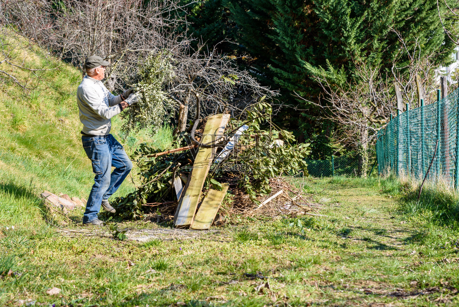 花园里的人在为篝火准备树枝，为春天打扫照片摄影图片