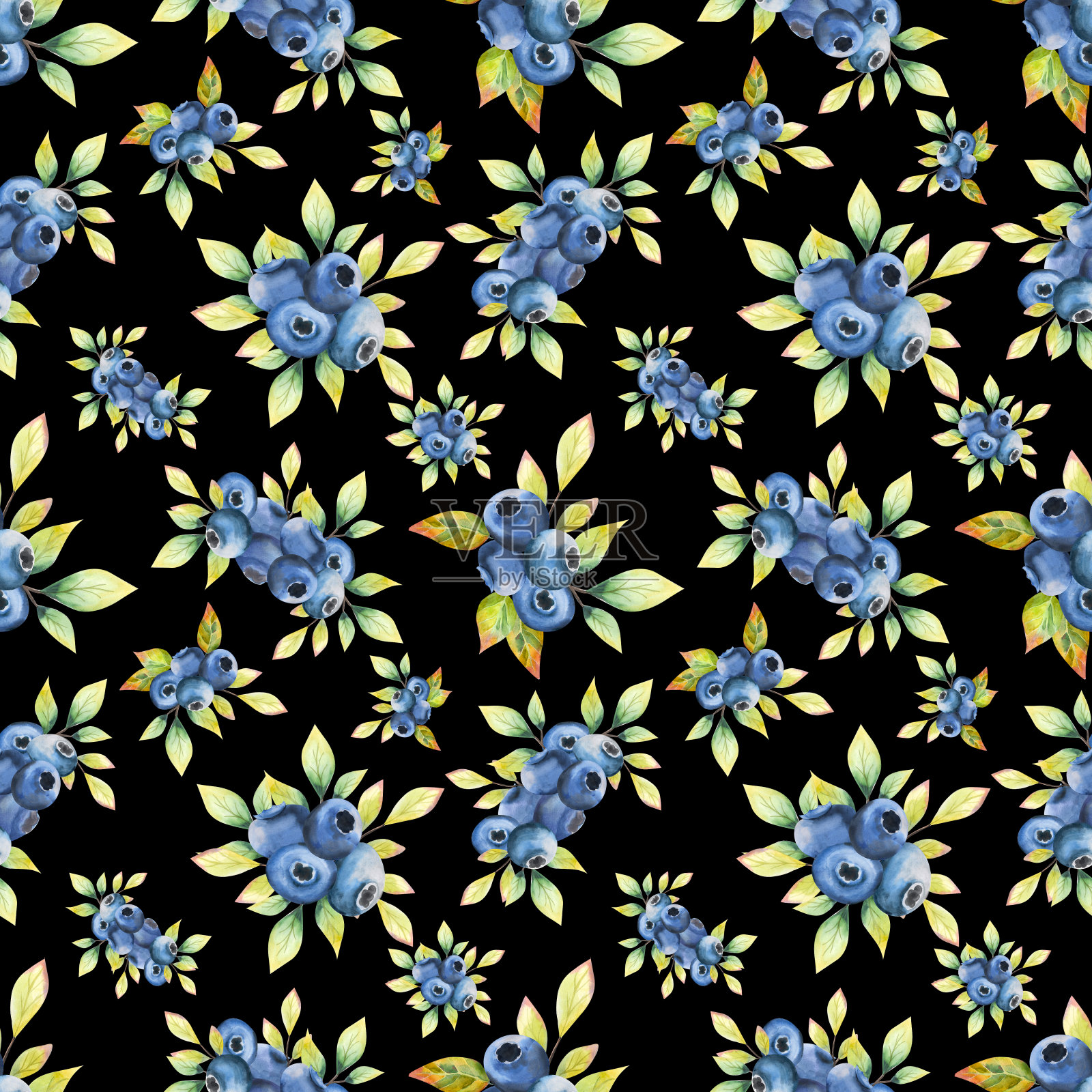 水彩无缝模式。设计在黑色的背景与蓝莓叶。贝瑞无缝设计。插画图片素材