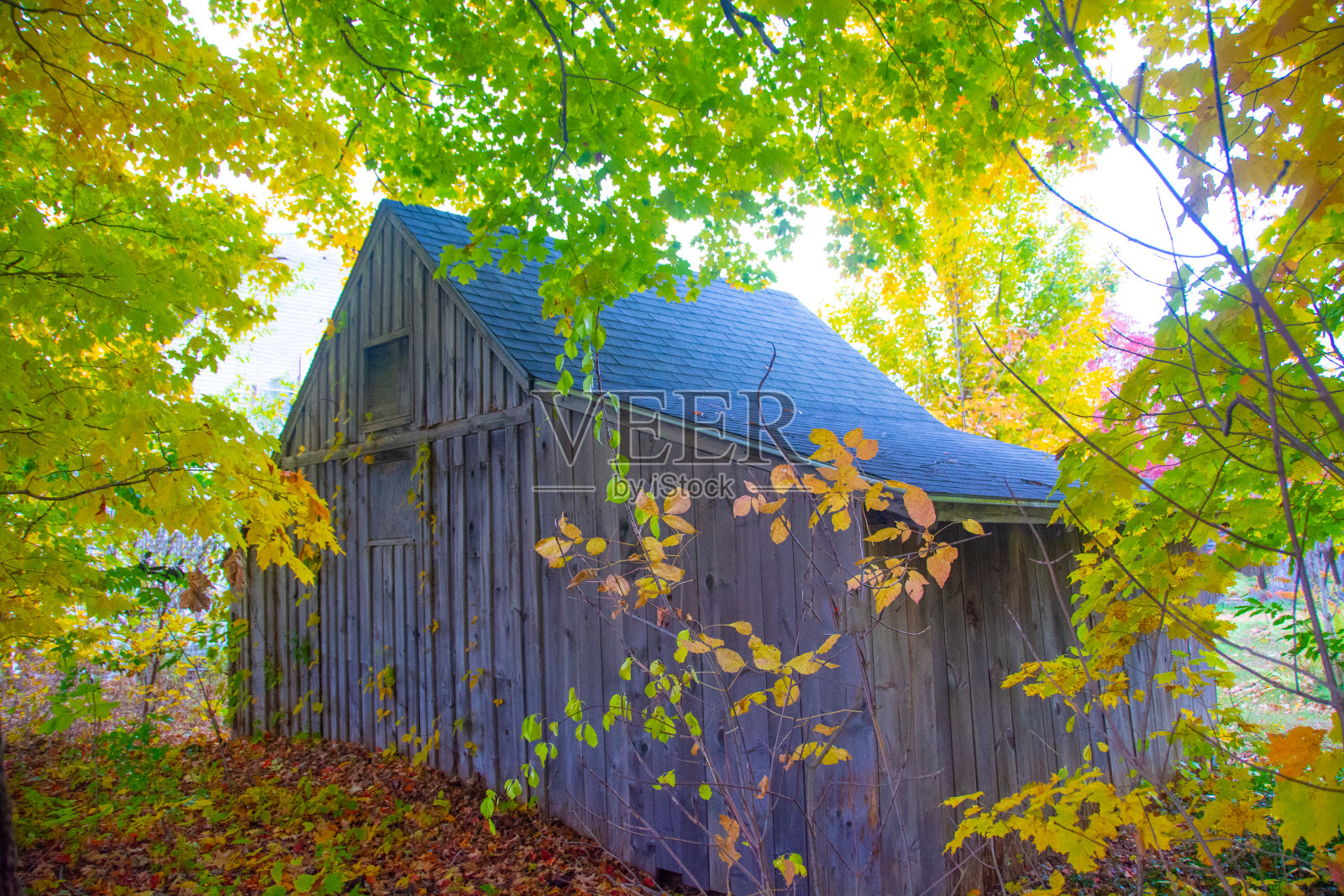 旧废弃的小木屋-新罕布什尔州北部照片摄影图片
