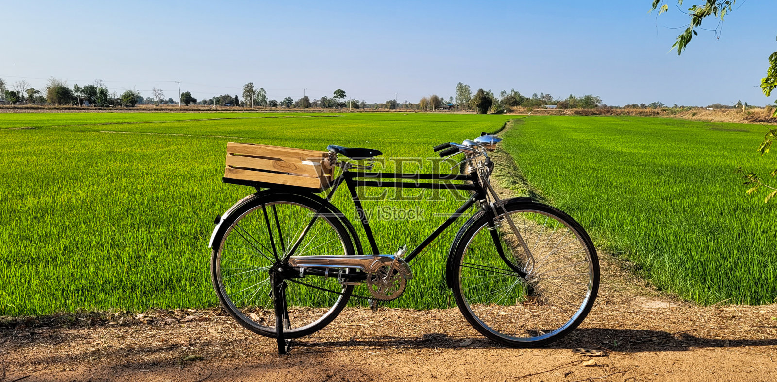 缓慢的生活照片摄影图片