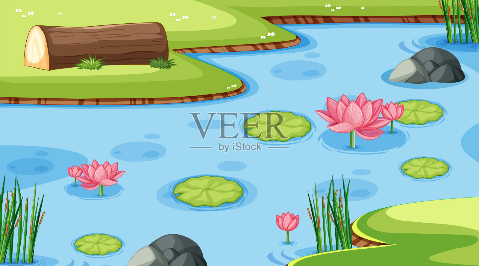 池塘里有睡莲的自然风光插画图片素材