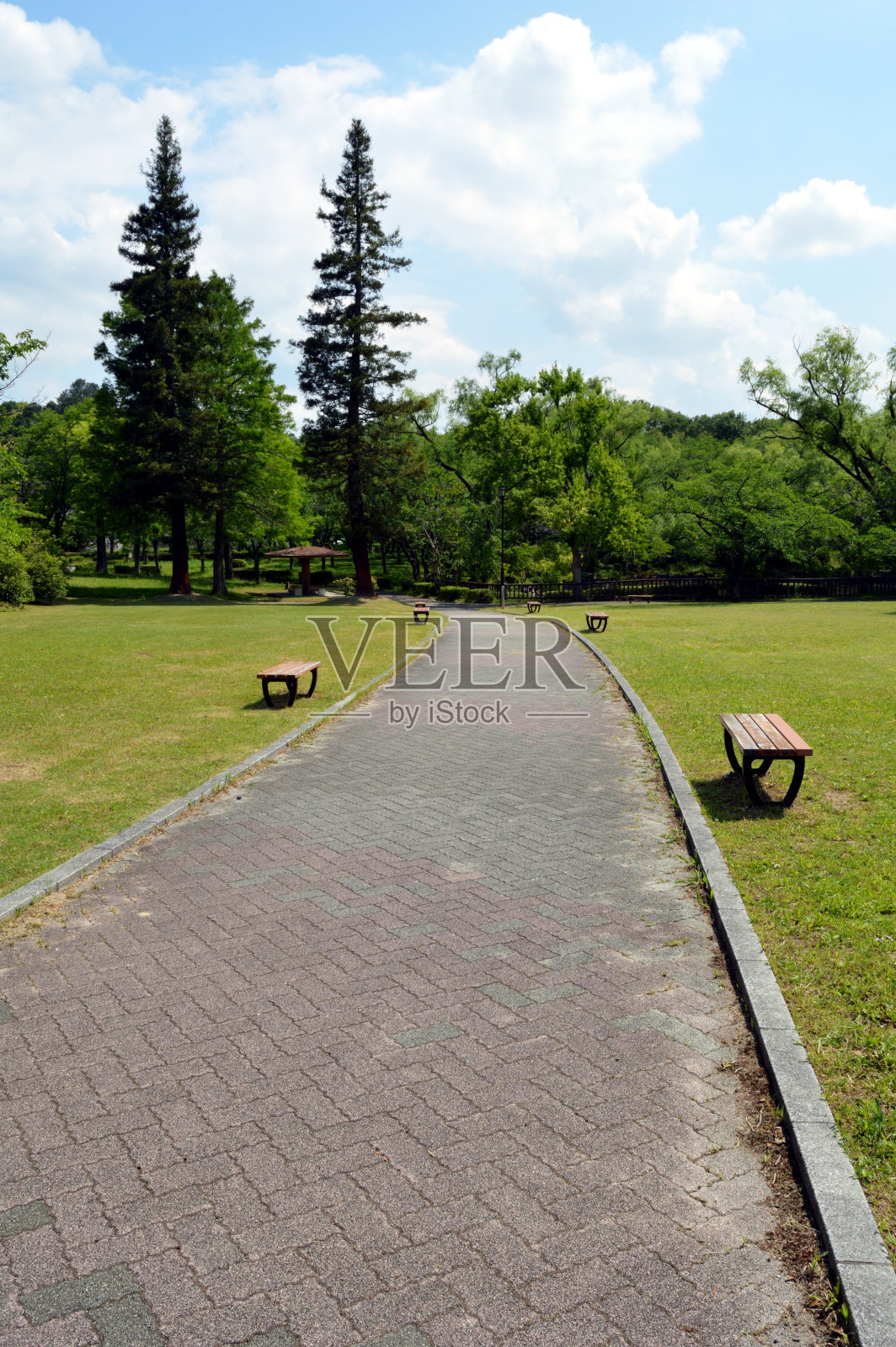 早晨一个没有人的公园，阳光明媚地照在树上和地上，蓝天上有白云。照片摄影图片