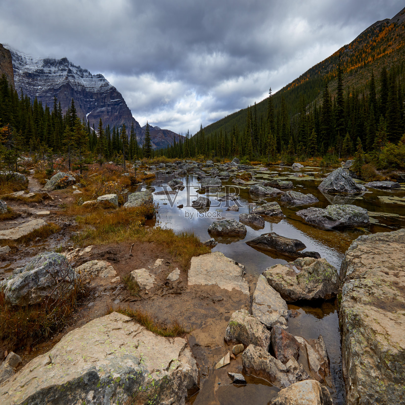加拿大山脉中的河流。加拿大阿尔伯塔省的安慰湖。照片摄影图片