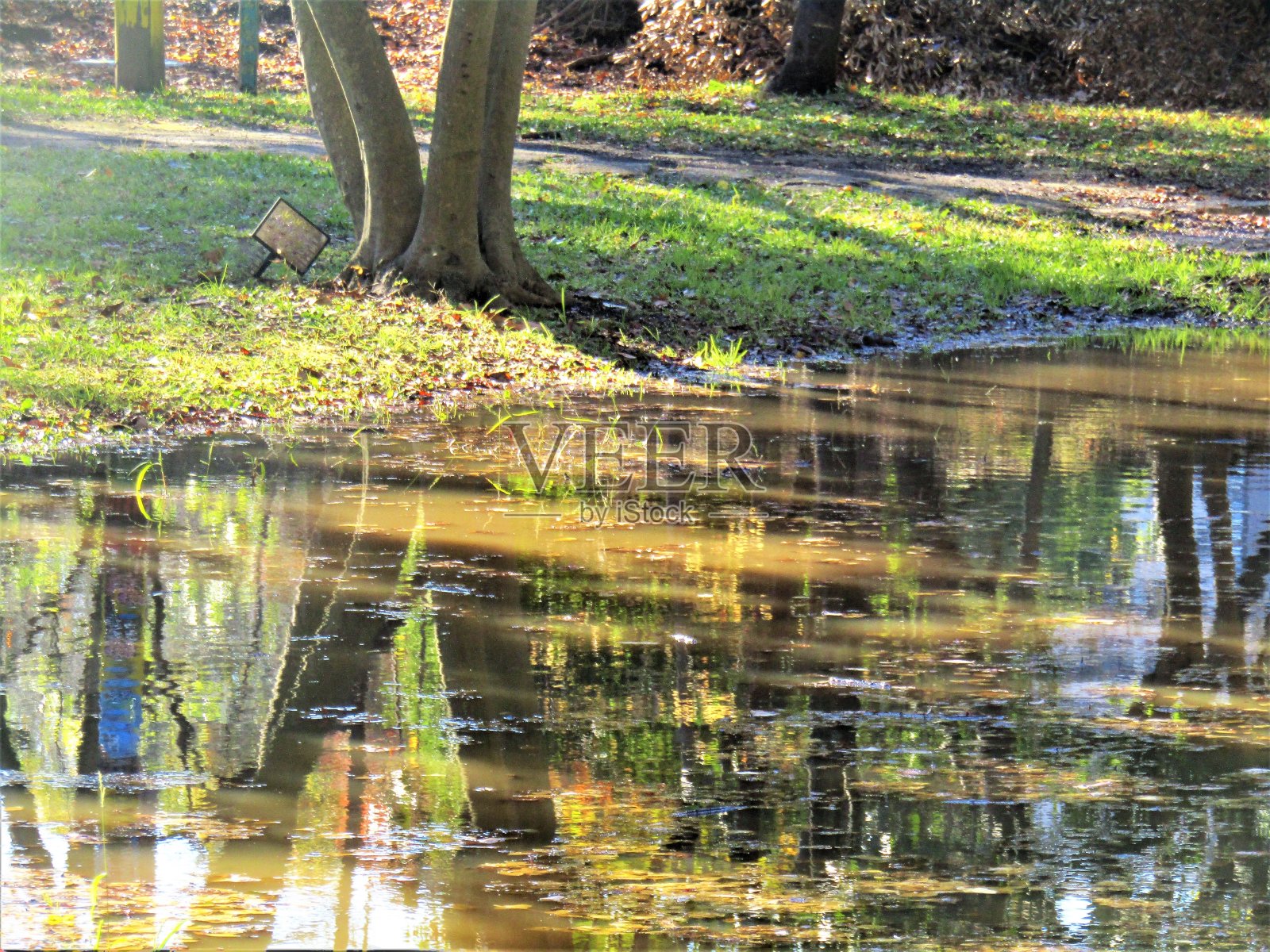 日本。十二月的一个晴朗的日子。夜间大雨后公园的人行道。照片摄影图片