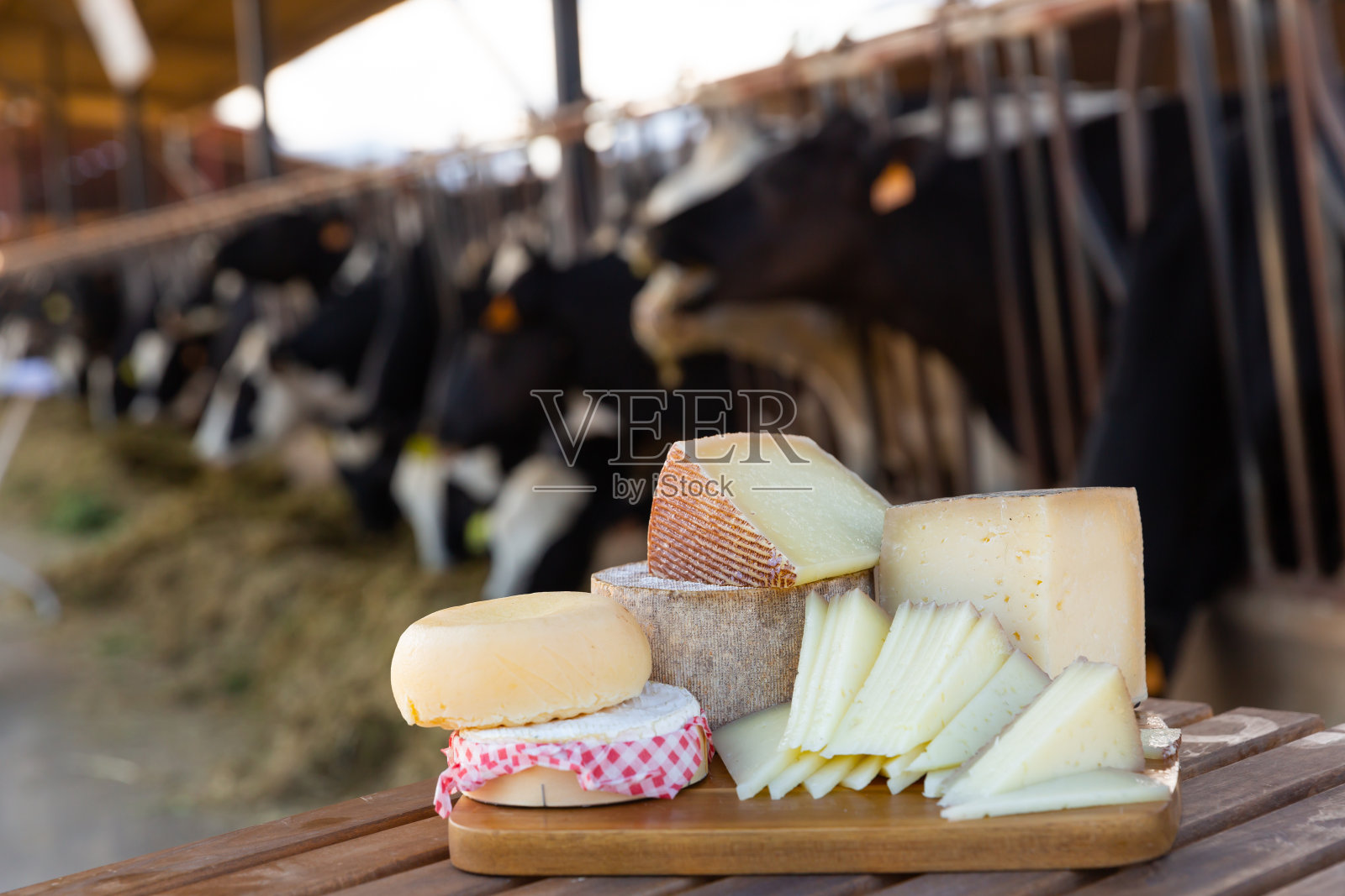 各种类型的天然奶酪背景开放牛棚照片摄影图片