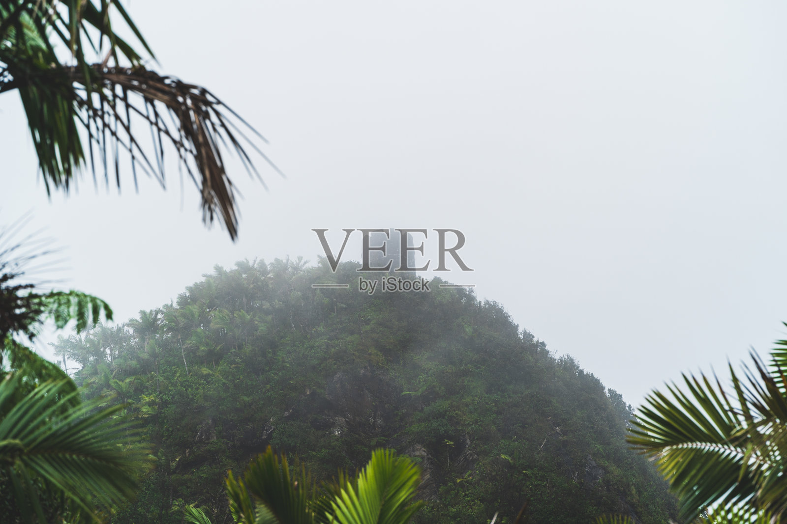 云雾缭绕的丛林中，山顶上的瞭望塔照片摄影图片