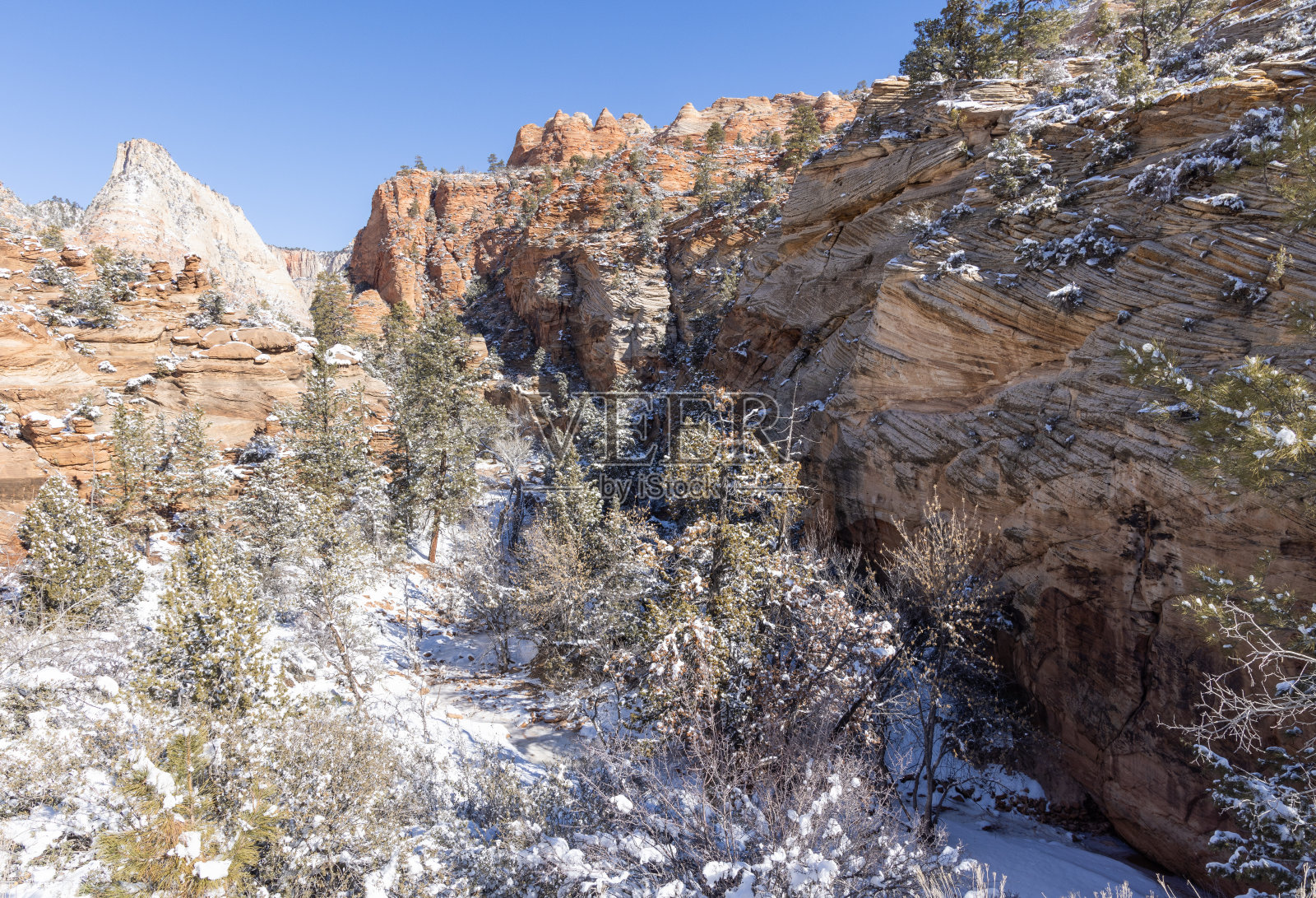 犹他州锡安国家公园冬季景观照片摄影图片