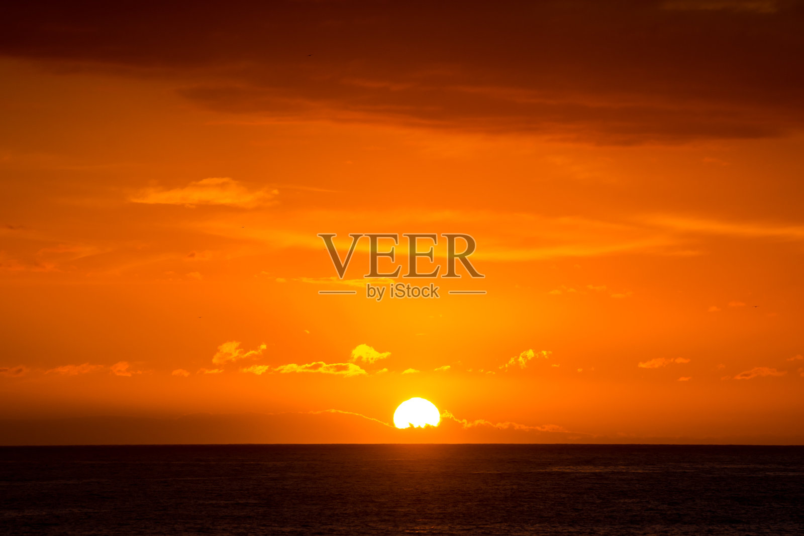 日落在海上照片摄影图片