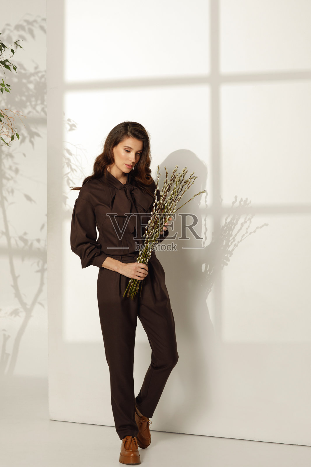 阳光肖像的女模特穿着时髦的春季服装，巧克力棕色优雅的西装，并持有盛开的柳树树枝在白色的背景。春夏时尚概念照片摄影图片