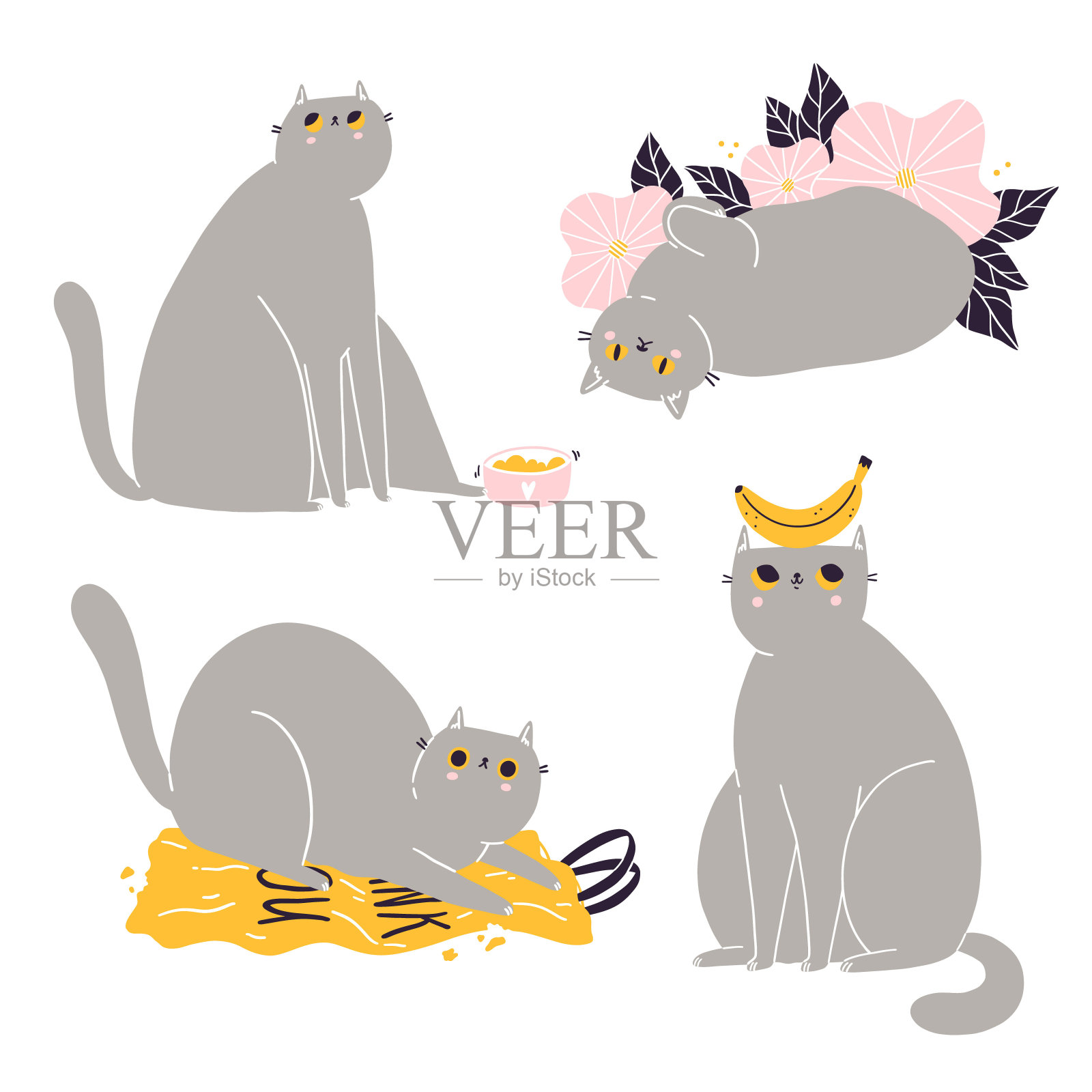 可爱的英国短毛猫向量收集3插画图片素材