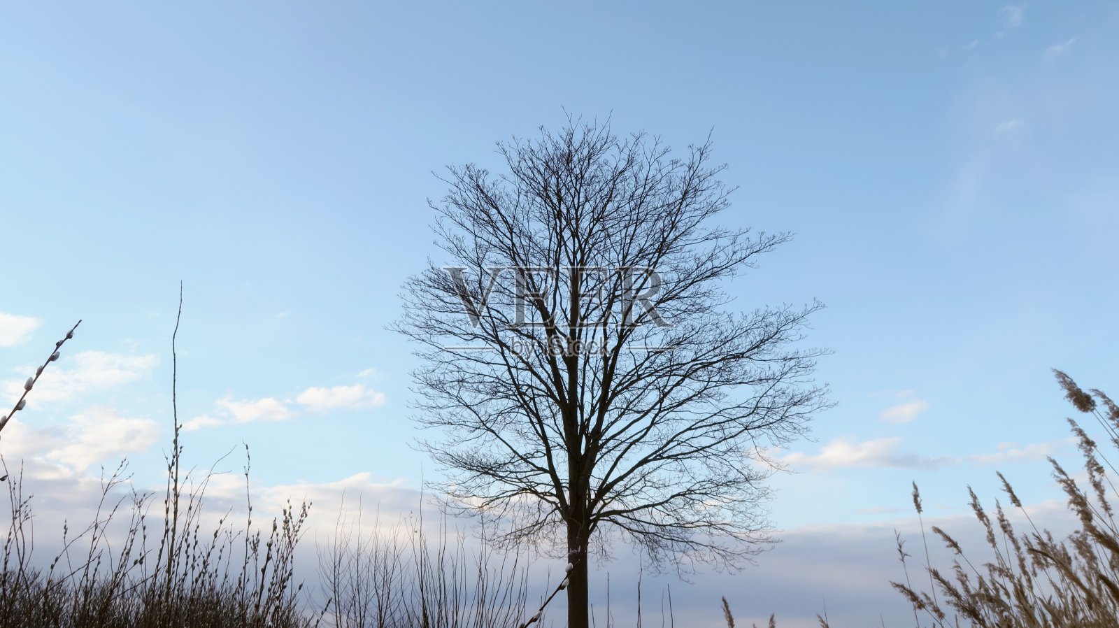 自然照片摄影图片