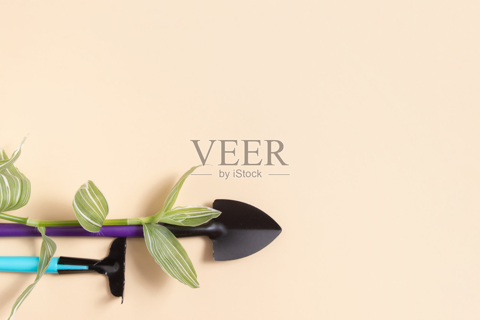 用于种植植物的铲子和耙子。平的。春天种植的概念照片摄影图片