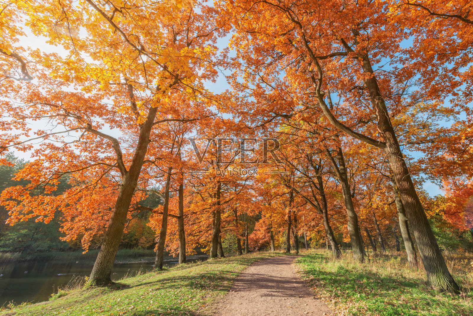 秋日清晨城市公园的景色。照片摄影图片