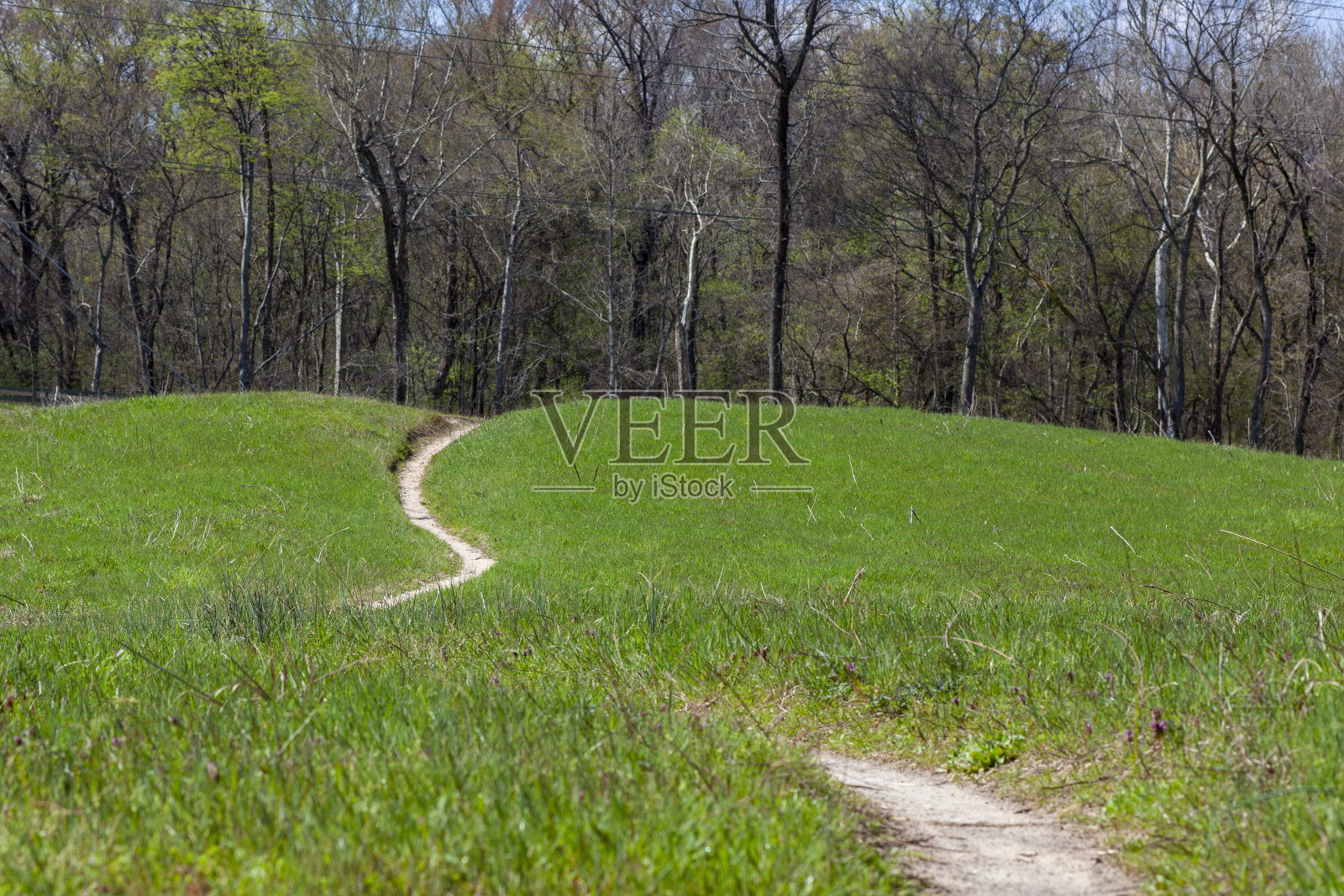 徒步旅行的小路穿过树林照片摄影图片