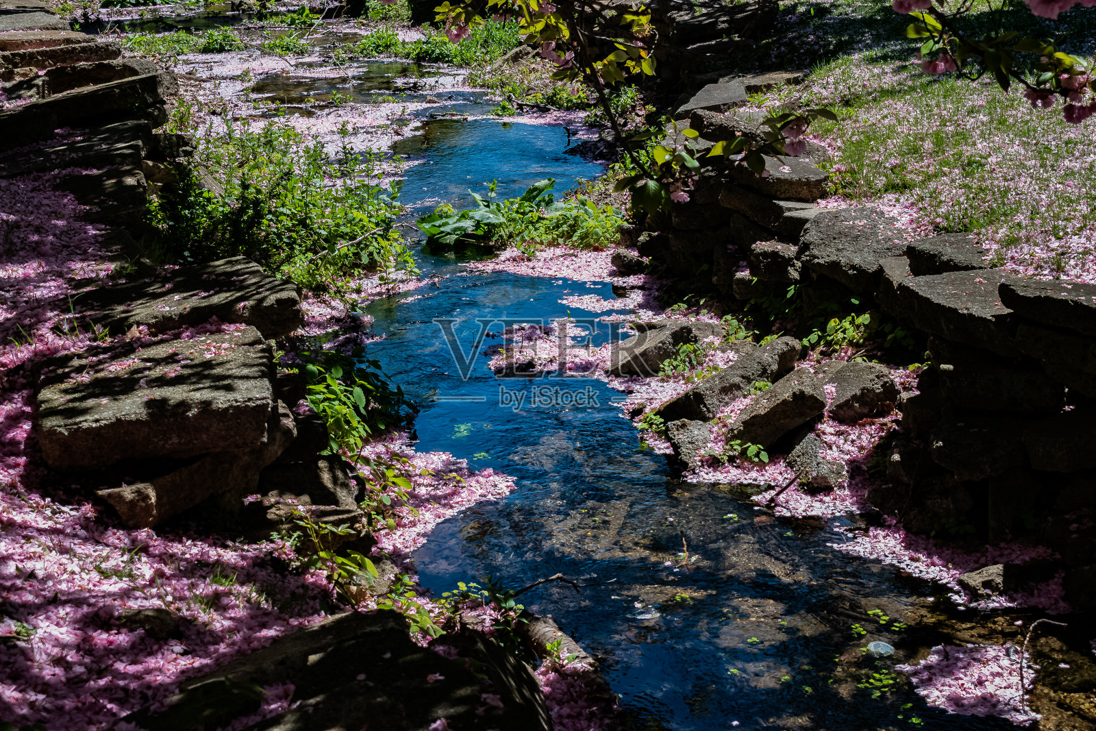 粉色溪流照片摄影图片