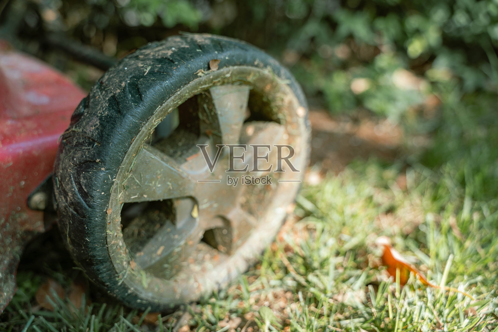 除草机照片摄影图片