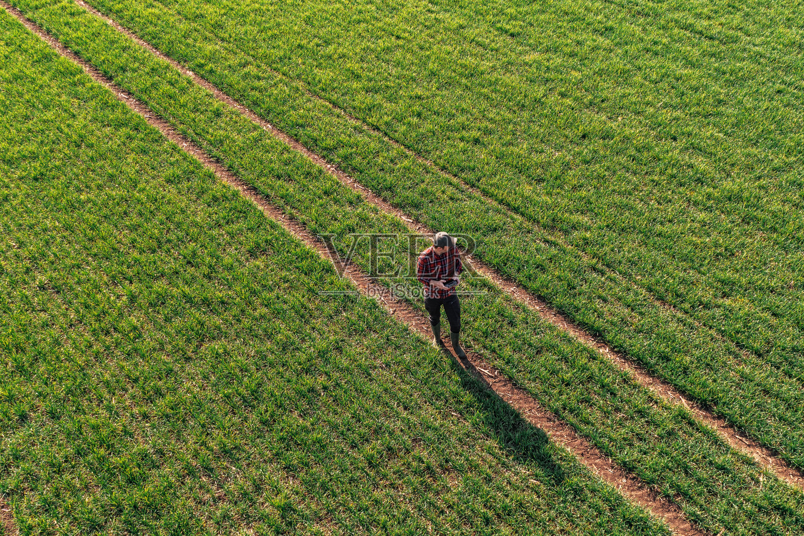 农民用遥控器操控农业无人机，观察耕耘的麦田照片摄影图片