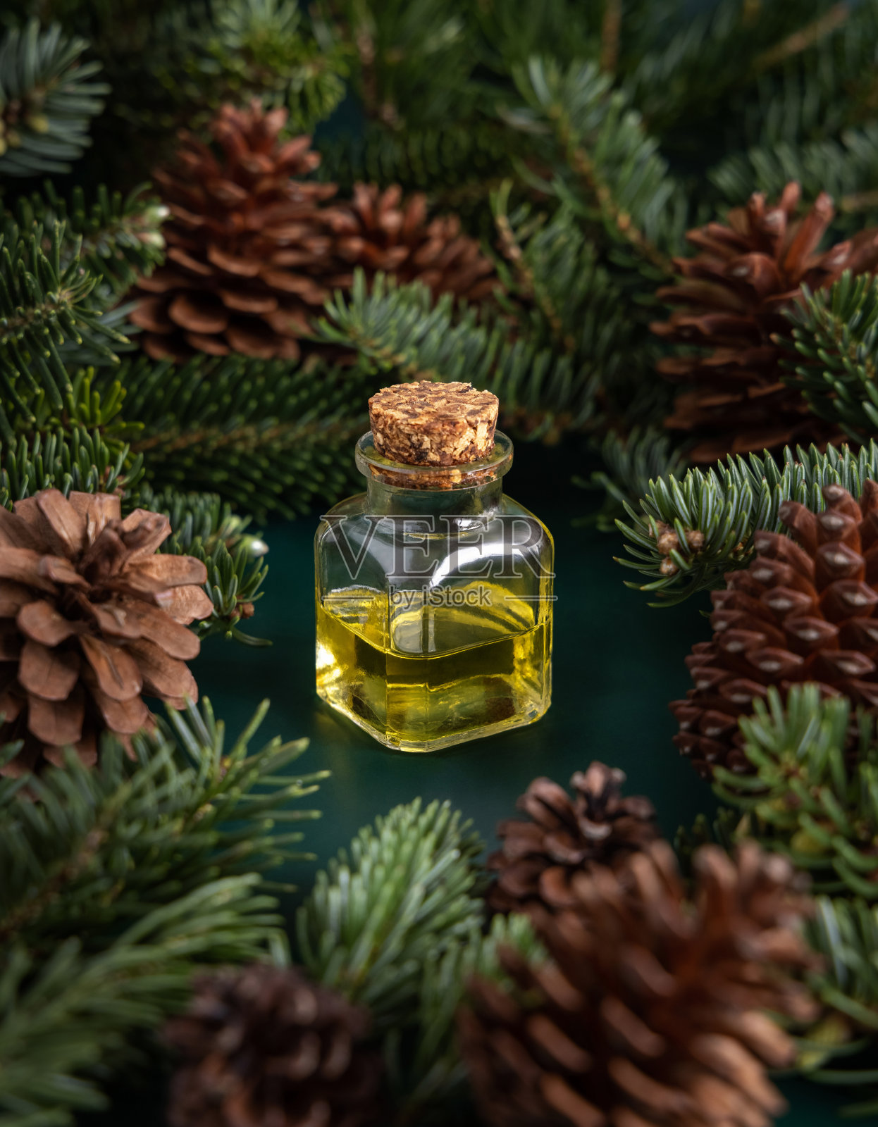 玻璃瓶与针叶树精油之间的杉木枝和松果上绿色的关闭照片摄影图片
