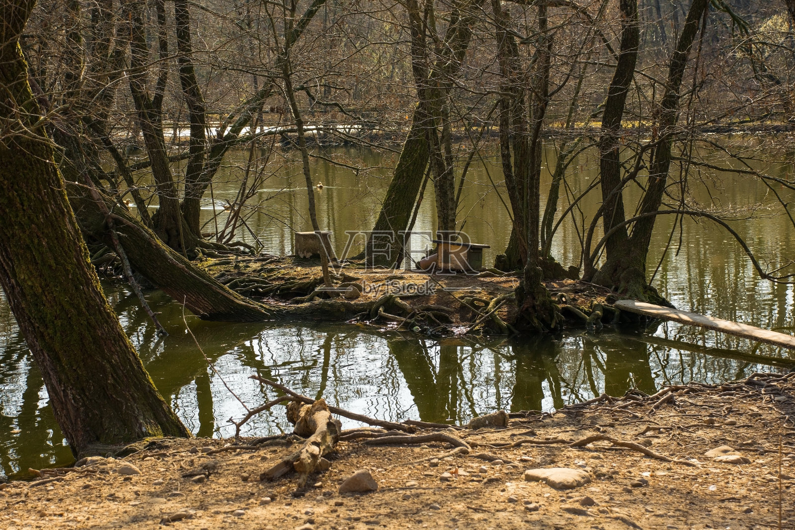 意大利自然保护区的池塘照片摄影图片