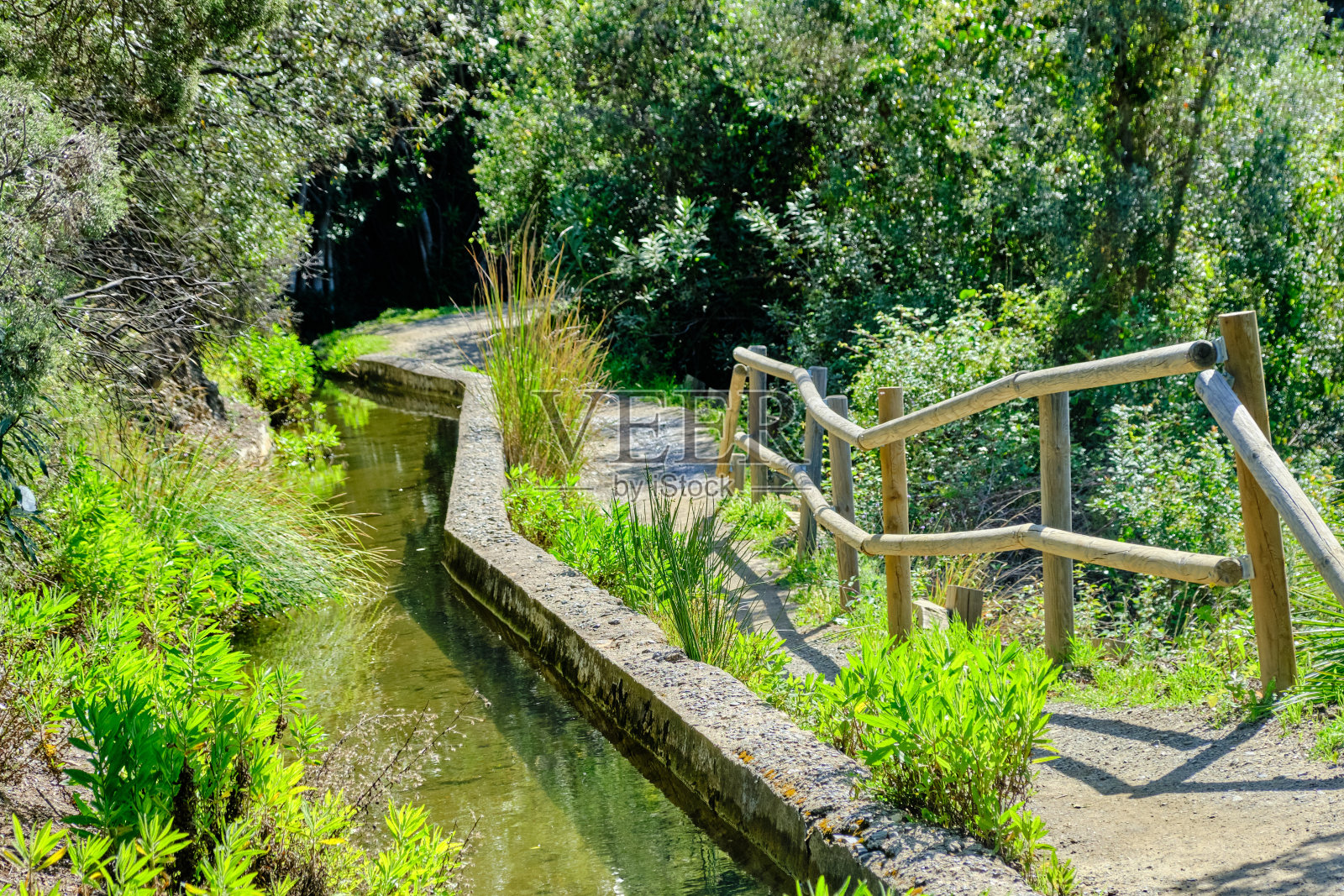 路径“Acequia del Guadalmina”。Benahavis, Costa del Sol, Andalusia, Spain。照片摄影图片