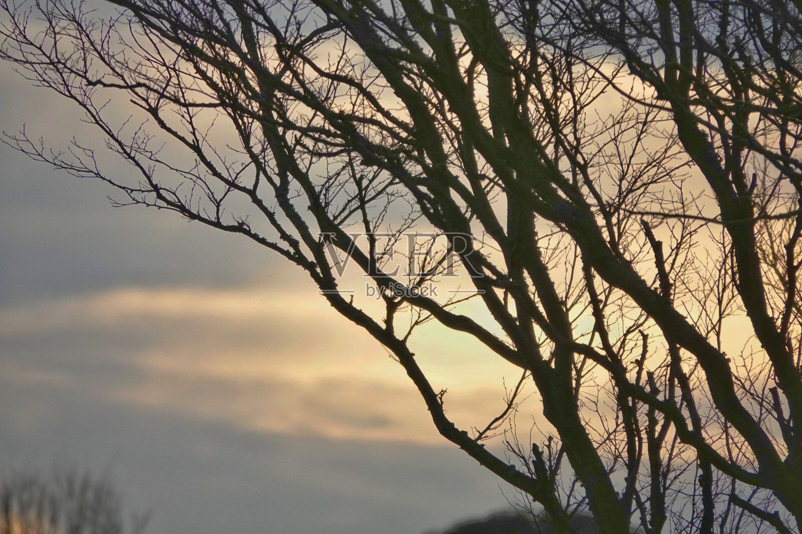 日落照片摄影图片