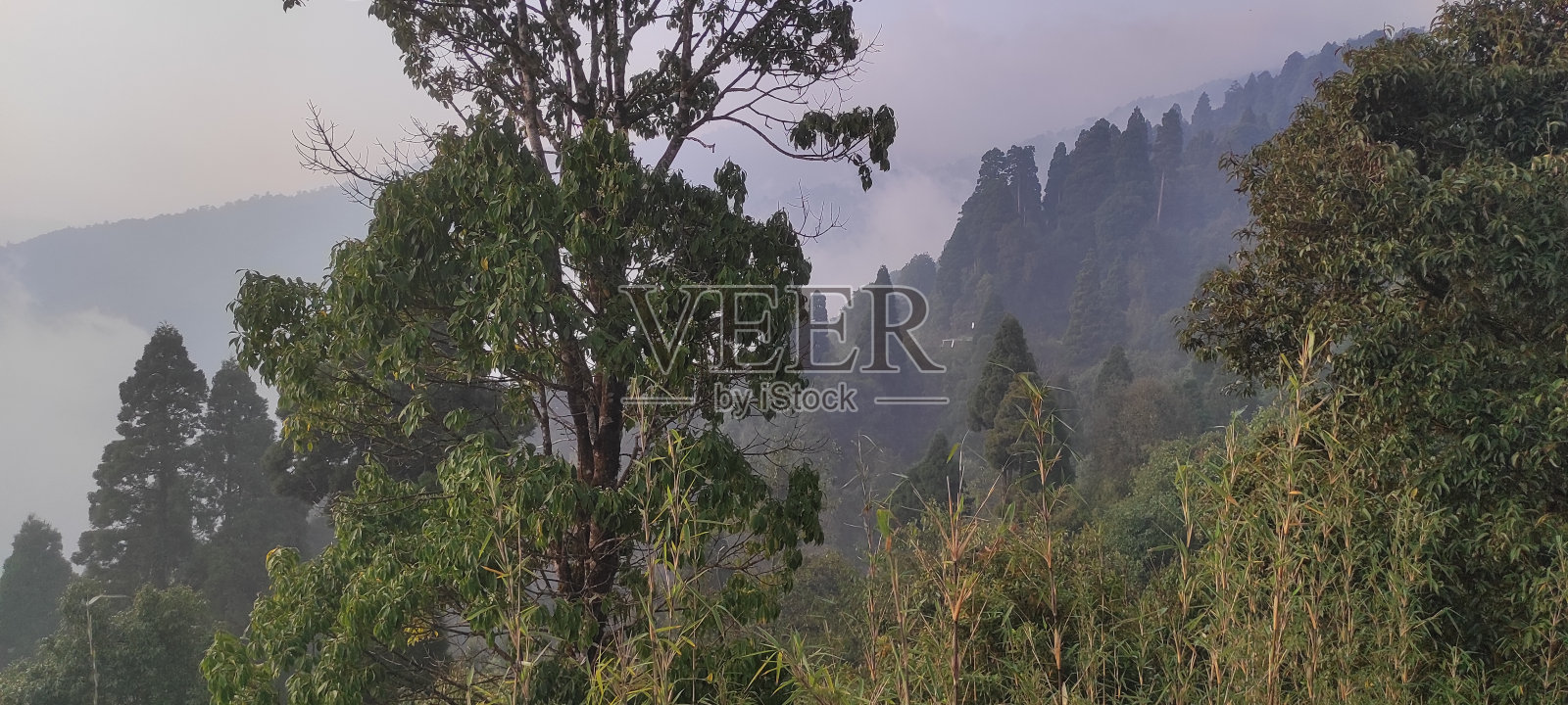 绿色喜马拉雅城市照片摄影图片