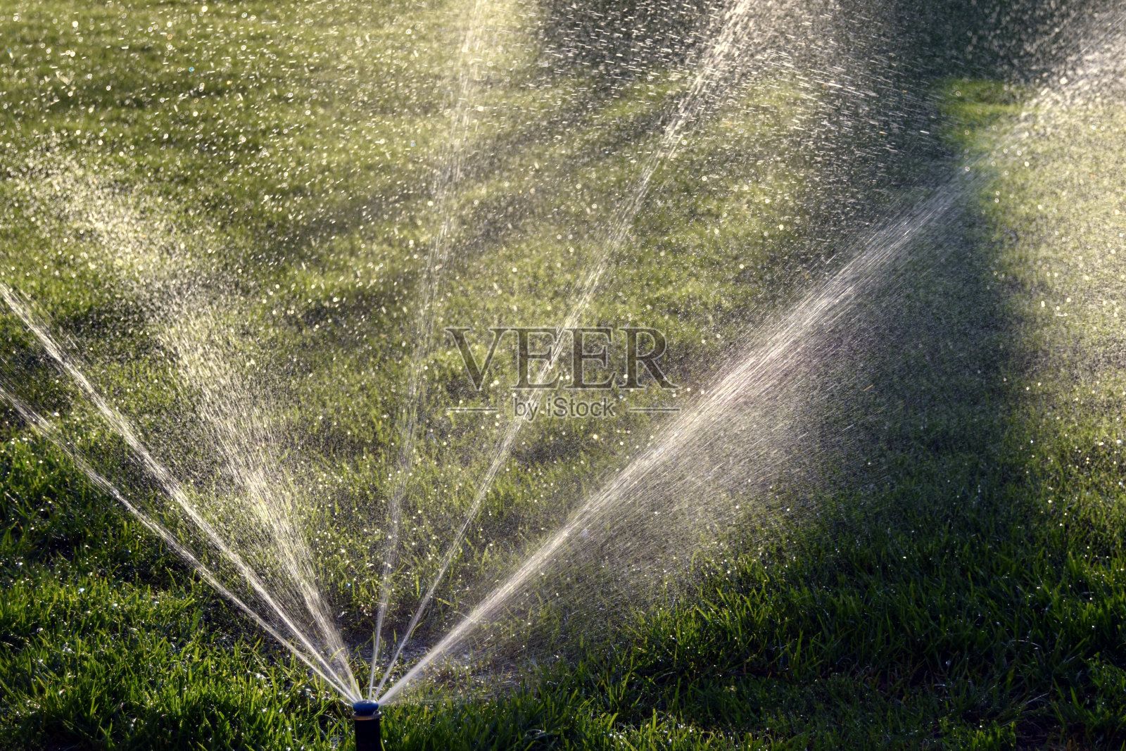 洒水车照片摄影图片