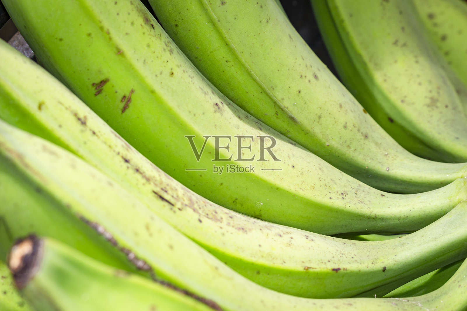 一群待售的绿香蕉照片摄影图片