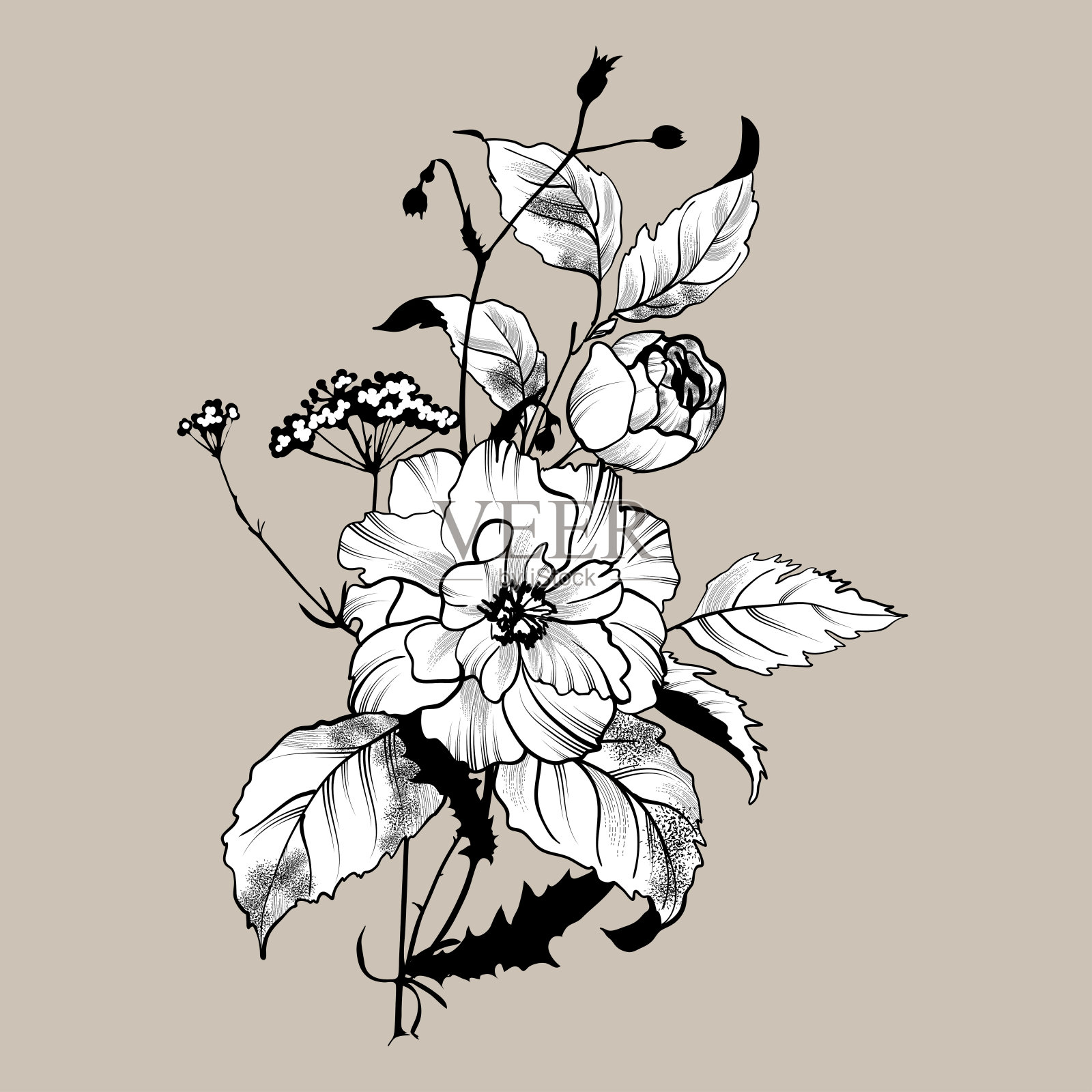 黑白花束插画图片素材